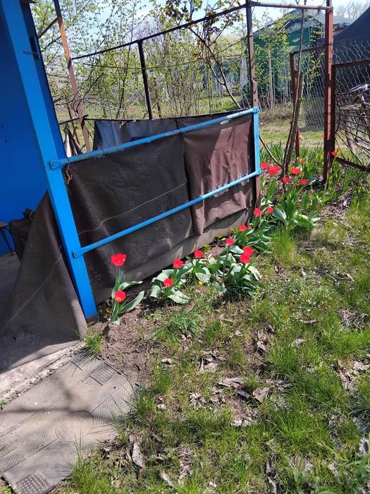 Продаж дачної ділянки фото 5