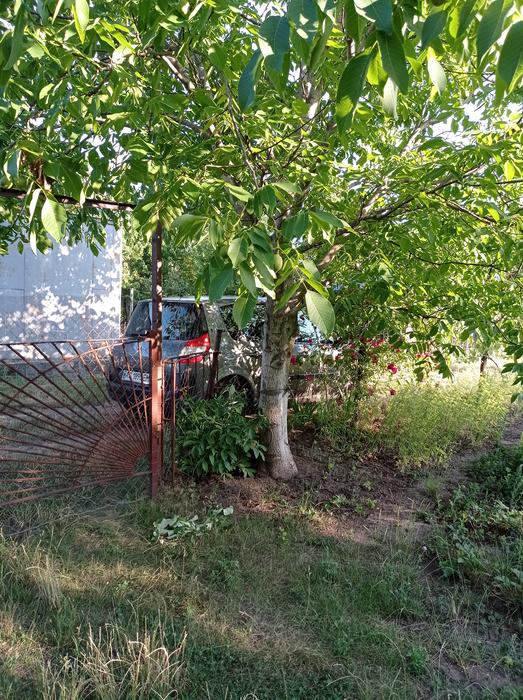 Продаж дачної ділянки фото 10