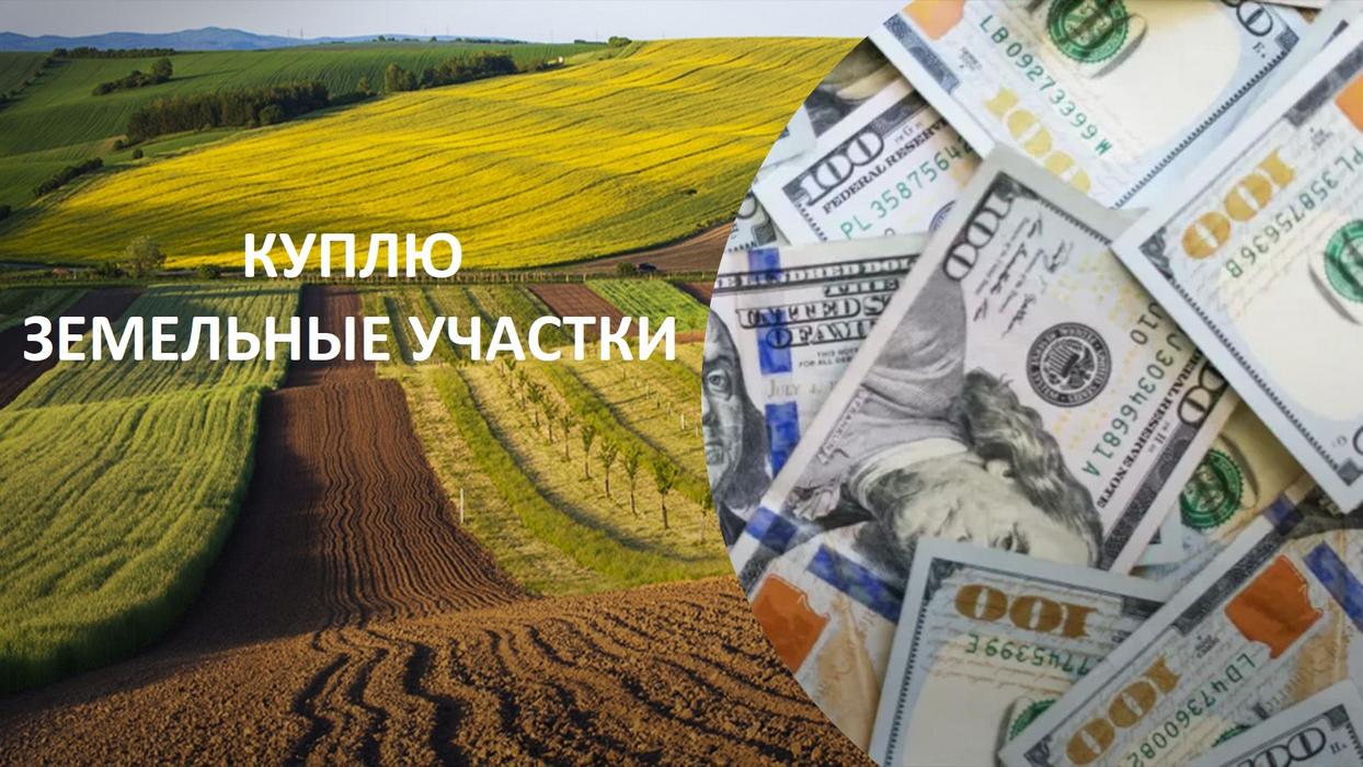 Куплю земли в Киеве и пригороде у собственника photo 1