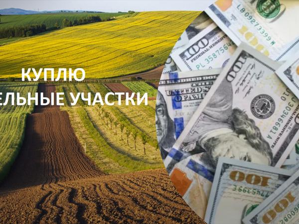 Куплю земли в Киеве и пригороде у собственника photo