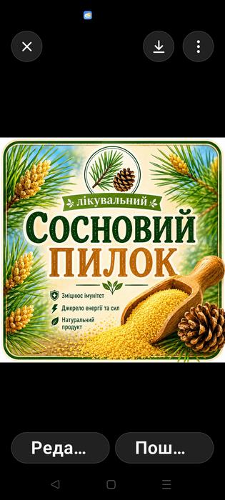 Сосновий пилок фото 2