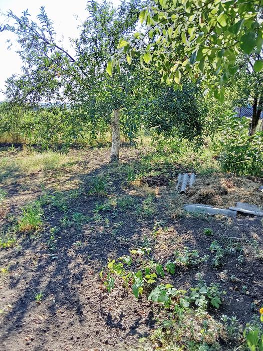 Будинок фото 8