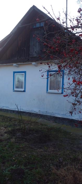 Будинок фото 2