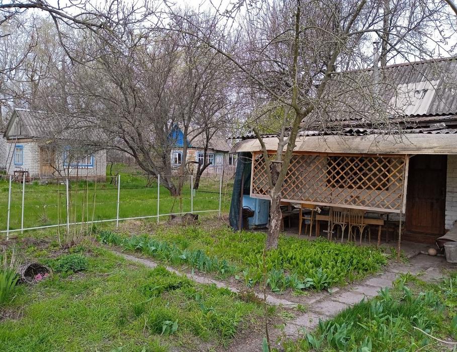 Продаються двідачі поряд біля Кременчука на Сади 2 фото 4