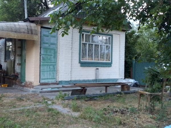 Продаються двідачі поряд біля Кременчука на Сади 2 фото