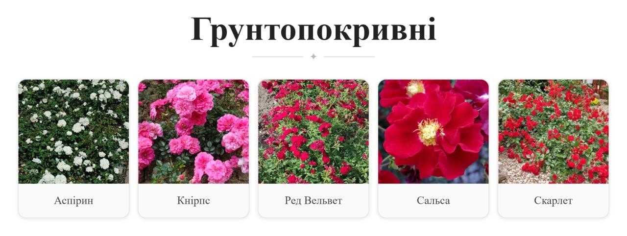 продам квіти для озеленення міст і селищ громад.от photo 1