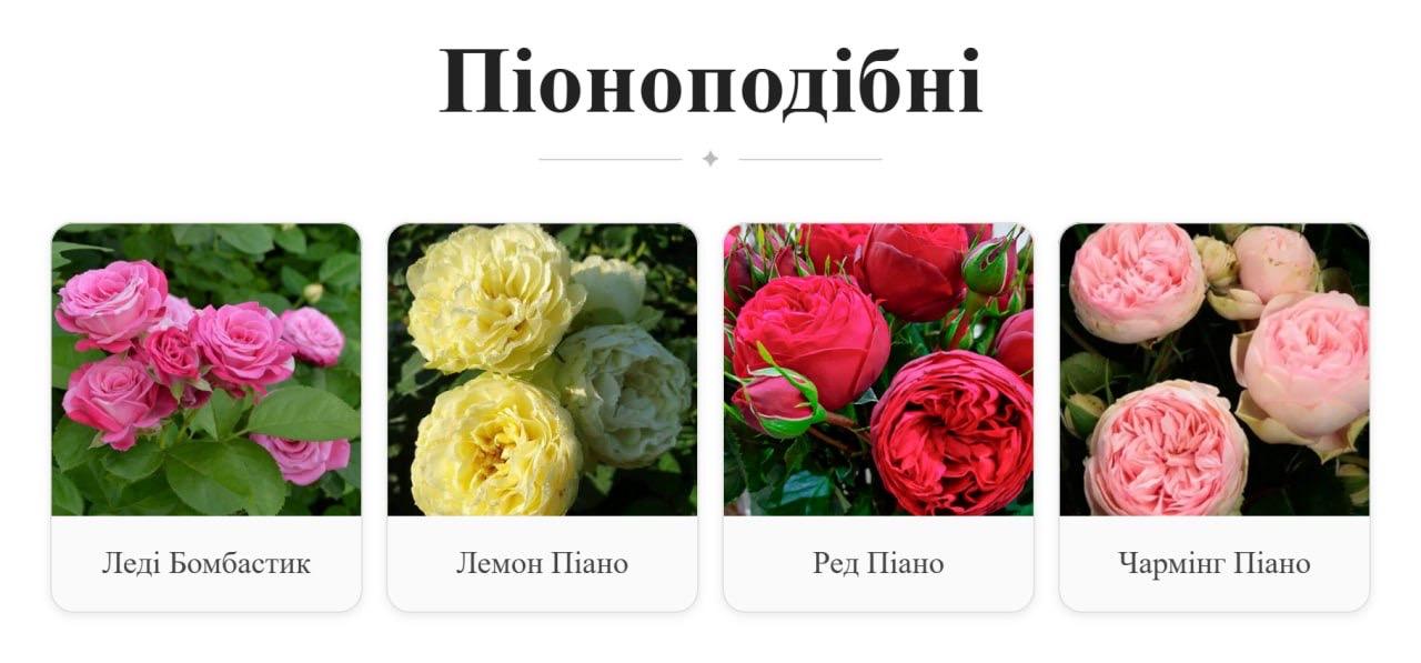 продам квіти для озеленення міст і селищ громад.от photo 2