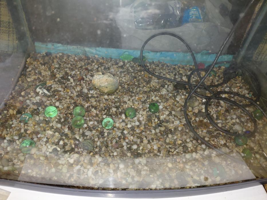RESUN CM-630 CHARMING AQUARIUM (Чарівний акваріум) фото 3