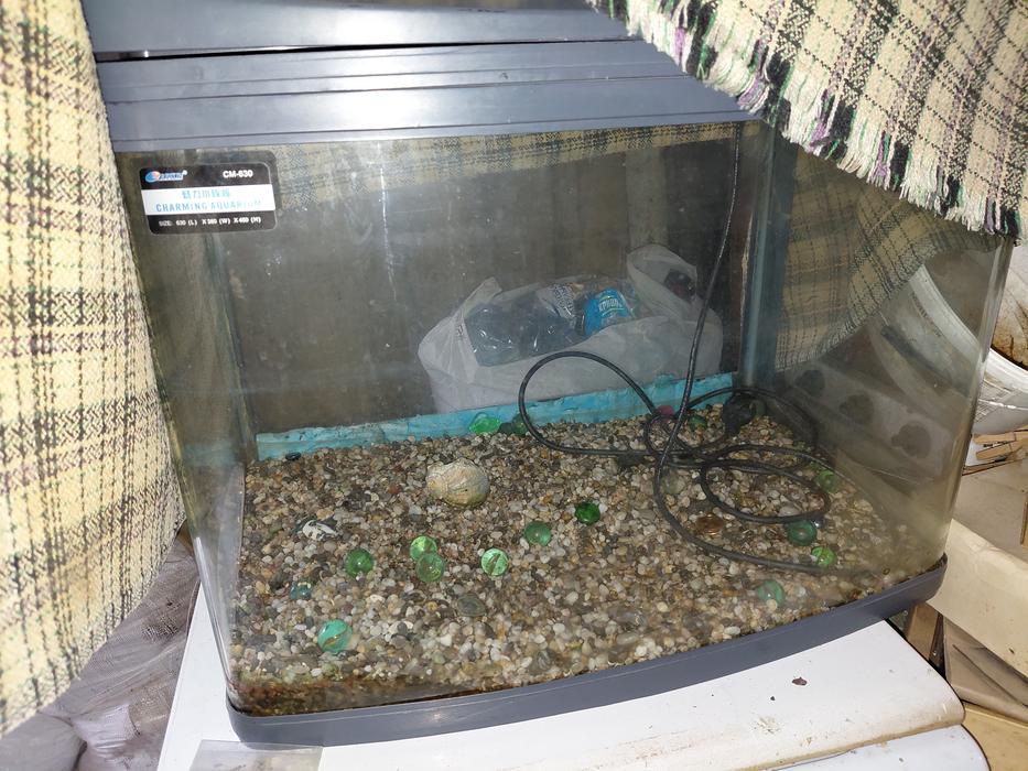 RESUN CM-630 CHARMING AQUARIUM (Чарівний акваріум) фото 4