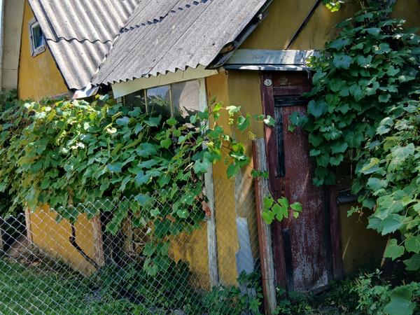 Продається дача photo