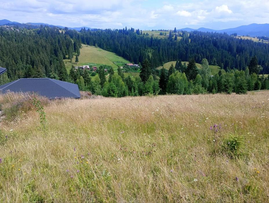 Продам земельну ділянку 1 га в Яблуниці Карпати photo 1