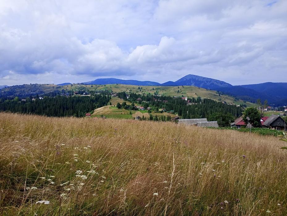 Продам земельну ділянку 1 га в Яблуниці Карпати photo 3
