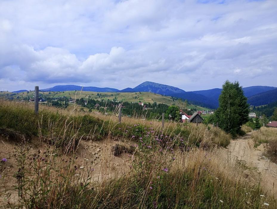 Продам земельну ділянку 1 га в Яблуниці Карпати photo 5