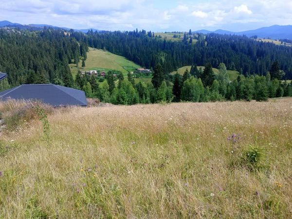 Продам земельну ділянку 1 га в Яблуниці Карпати photo
