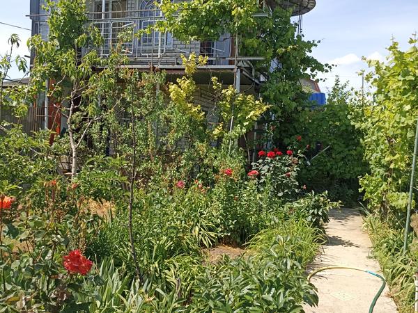 Продажа дом-дачу Алтестово Одесской обл photo