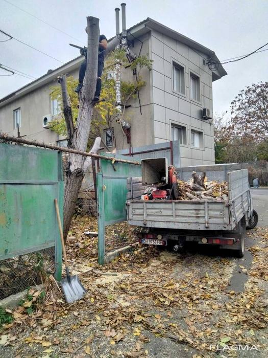 Уборка расчистка участка , территории , вывоз Одес фото 2