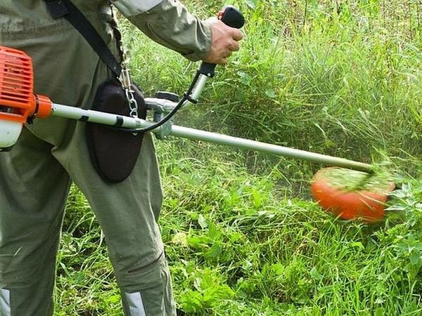 Уборка расчистка участка , территории , вывоз Одес фото