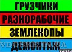 Разнорабочие грузчики подсобники землекопы Одеса фото 1