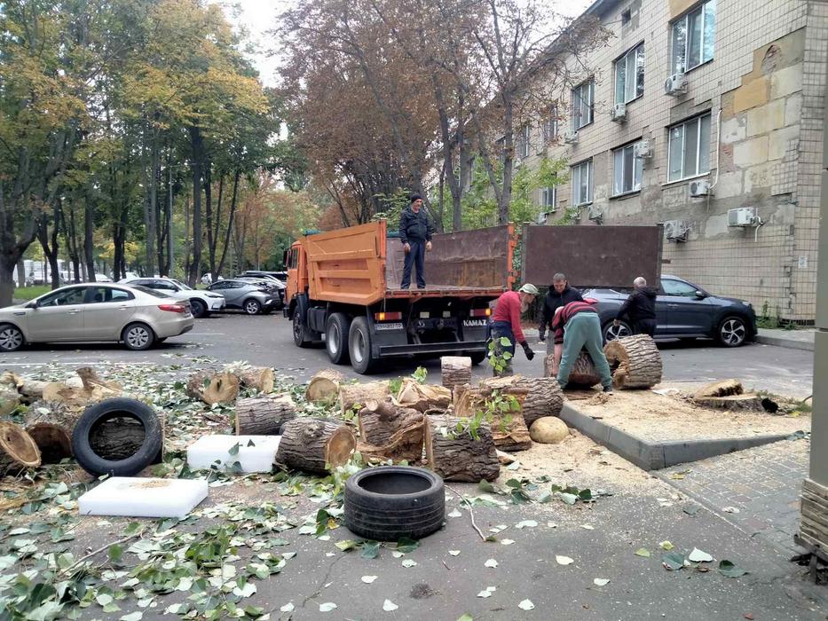 Вывоз мусора,подъем материала,грузчик Одесса фото 5