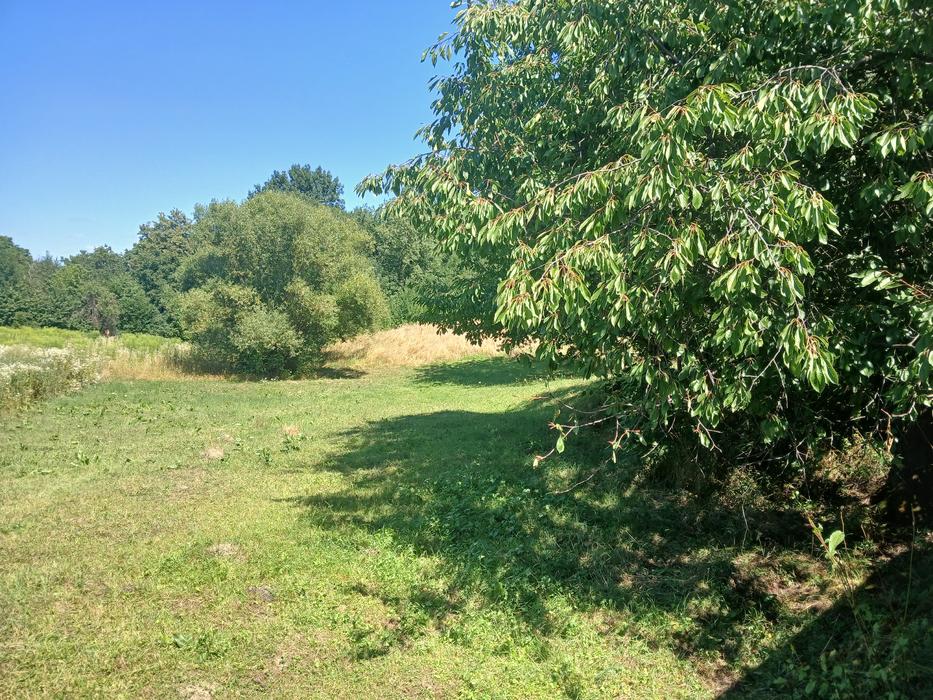 Домогосподарство photo 3