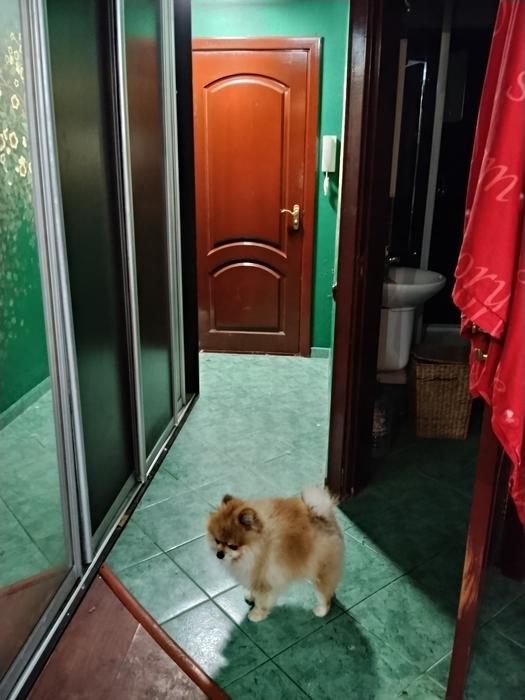 Центр,оренда кімнати photo 2