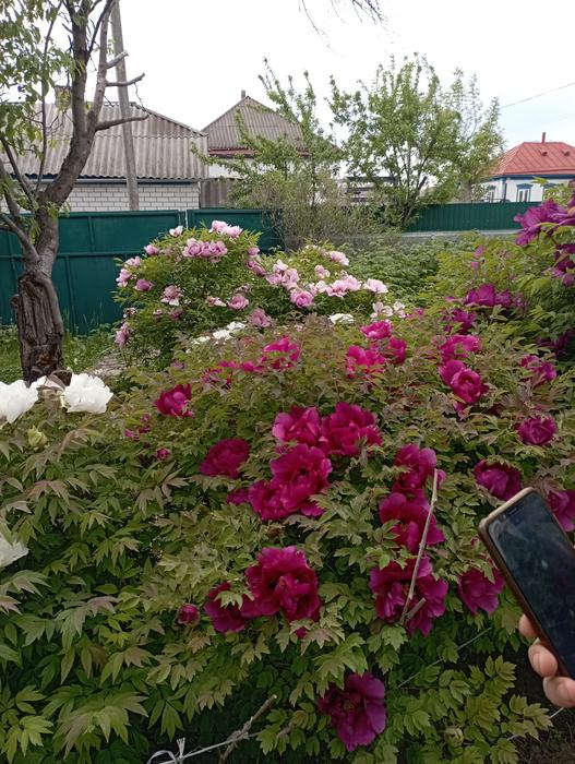 Будинок photo 4
