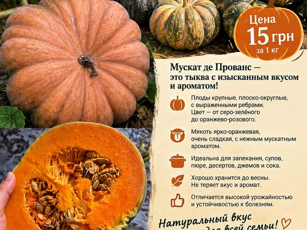 Декор Кабак Хеллоуин фото